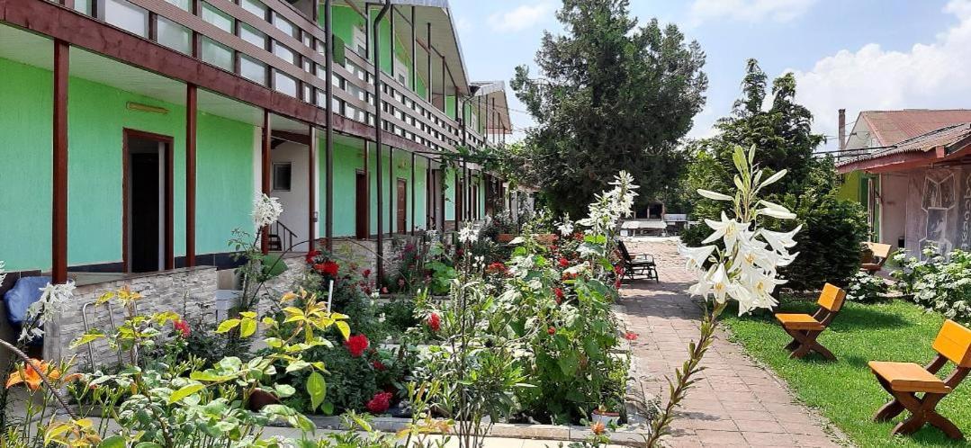 Casa Bucuria Hotel คอสติเนช ภายนอก รูปภาพ